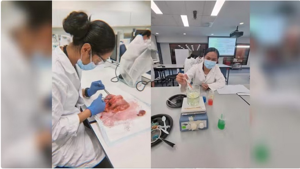 Selina disecting lamb's heart